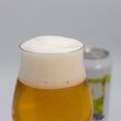 Charger l'image dans la galerie, Gose Fizz - 4.6%