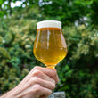 Charger l'image dans la galerie, Gose Fizz - 4.6%